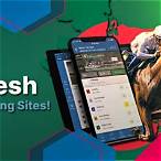 can you bet on horse races online
